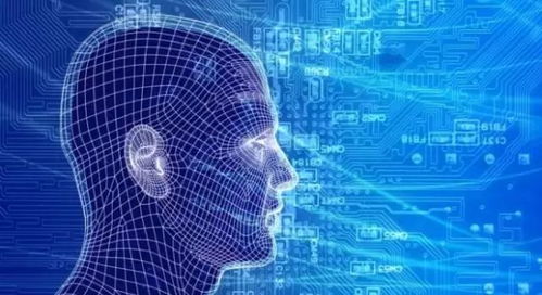 全球視野 六項(xiàng)熱門與四項(xiàng)趨冷的企業(yè)級技術(shù)應(yīng)用網(wǎng)絡(luò)服務(wù)盤點(diǎn)